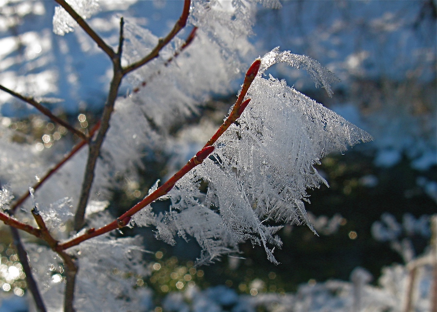 Fine Crystals