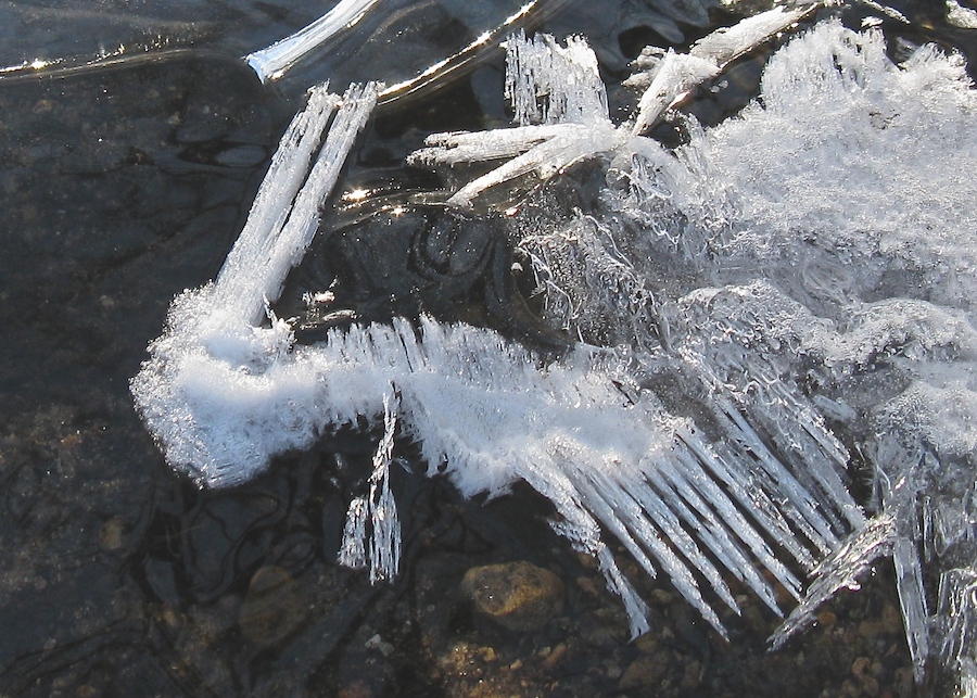 Arm of Ice